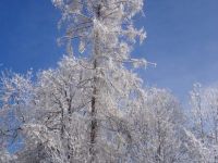 Ein Wunder Winterschoenheit